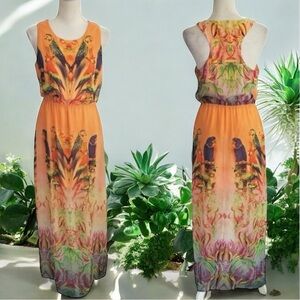 Walter Baker Orange Multicolor Parrot Print Summer Maxi Dress